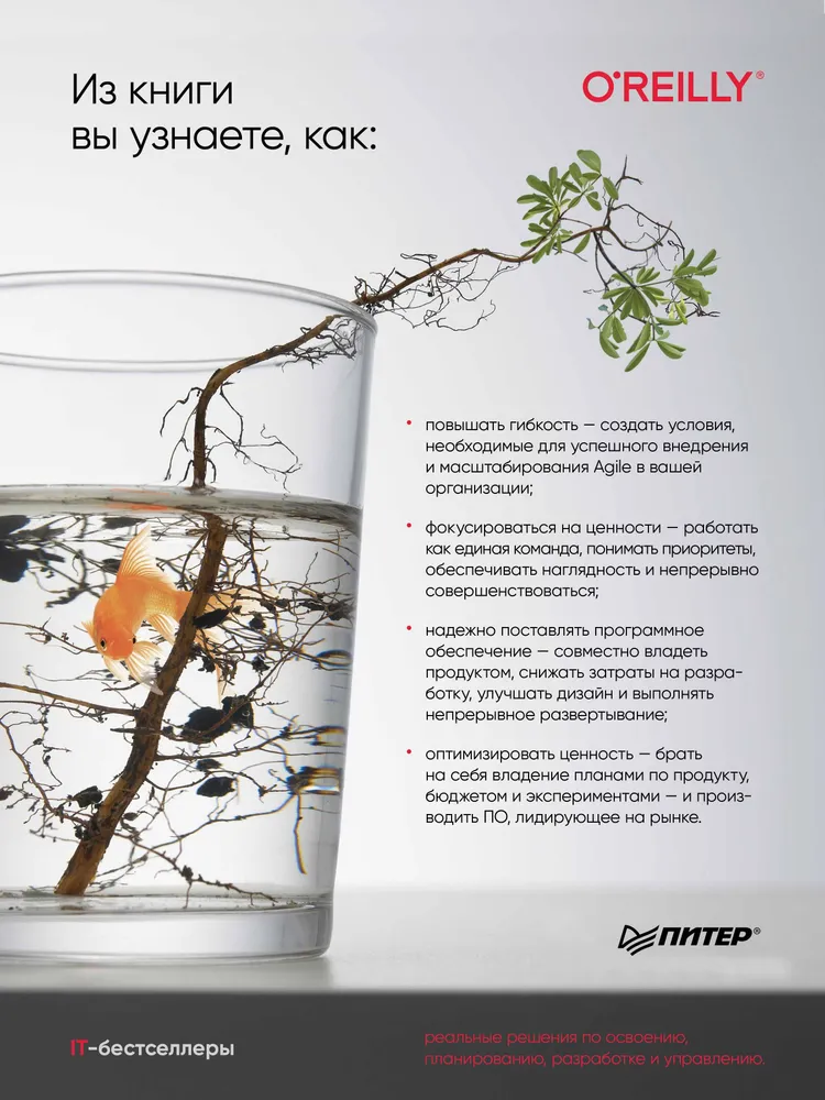 Книга «Искусство Agile-разработки» Джеймса Шора и Шейна Уордена